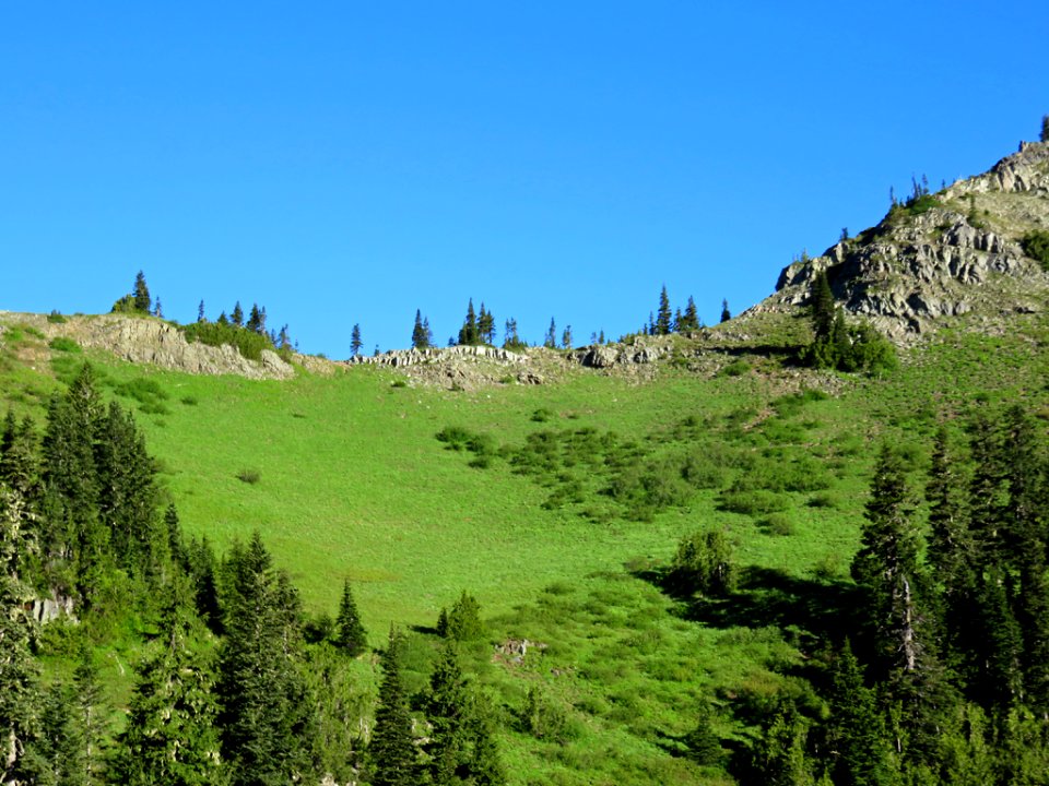 Mt. Rainier NP in Washington
