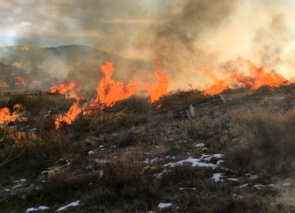 Pile burns near Thomas Creek