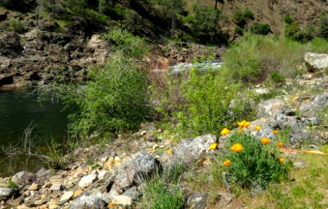 Old Flume Trail in Spring