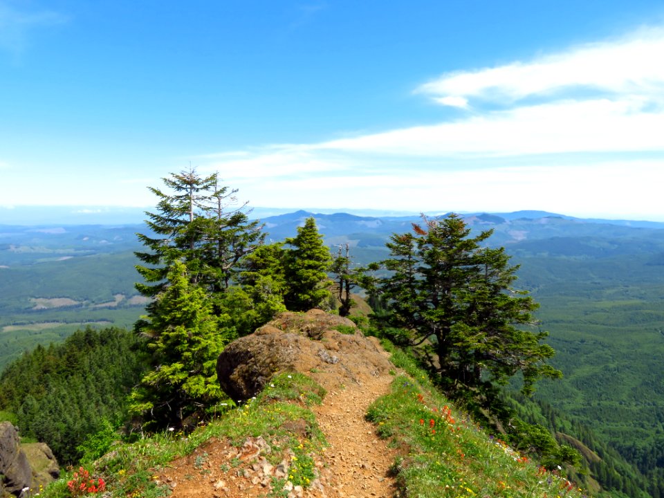 Saddle Mountain Trail in OR