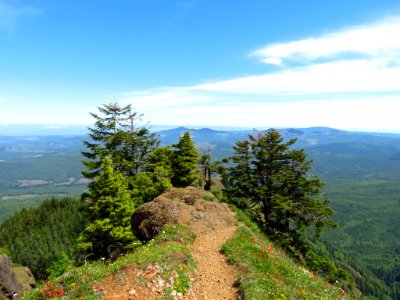 Saddle Mountain Trail in OR