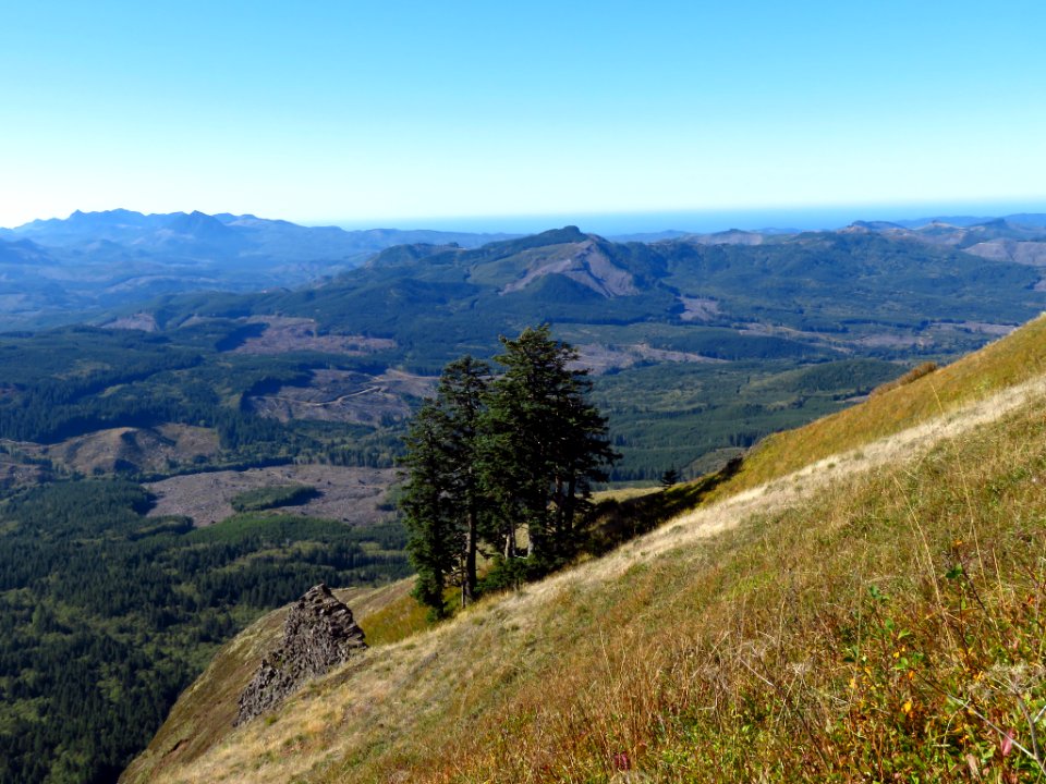 Saddle Mountain Trail in OR
