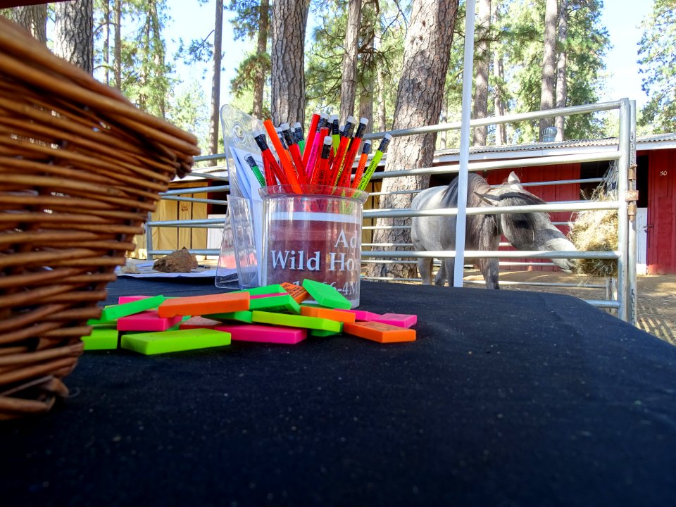 Nevada County Fair