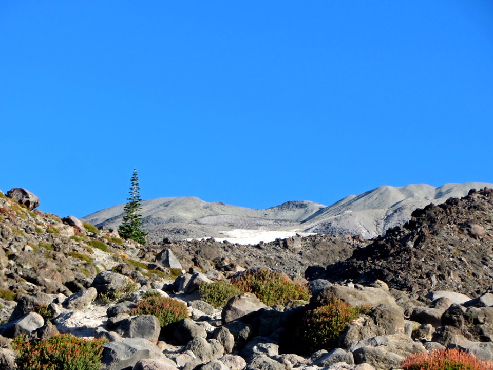 Mt. St. Helens Summit Trail in WA