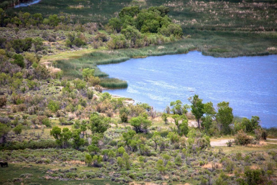 Tinemaha Wildlife Viewing Area