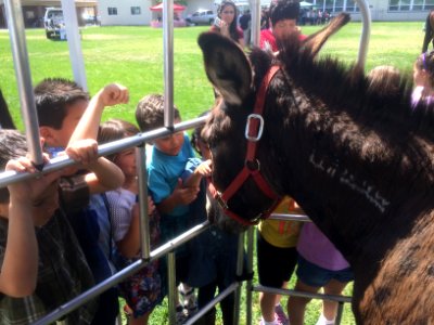 Manteca Elementary School Ag Days