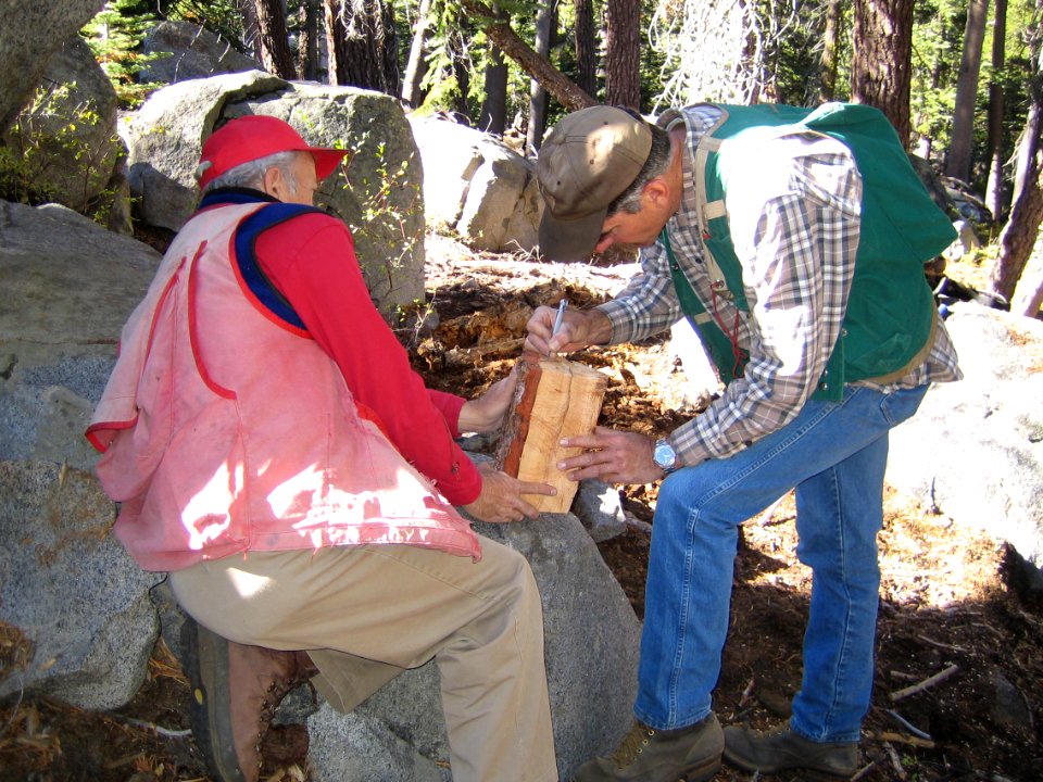 Cadastral Surveyors Dating General Land Office Bearing Tree (Karl Casperson, USFS right and Dave Dukelth, BLM left) near Caples Lake