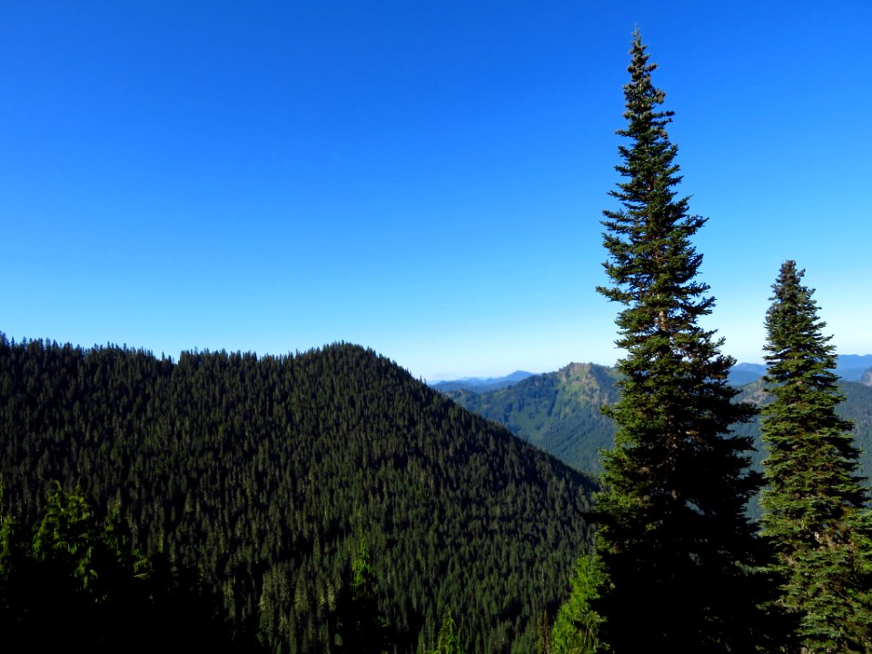 Tatoosh Peak Trail in WA