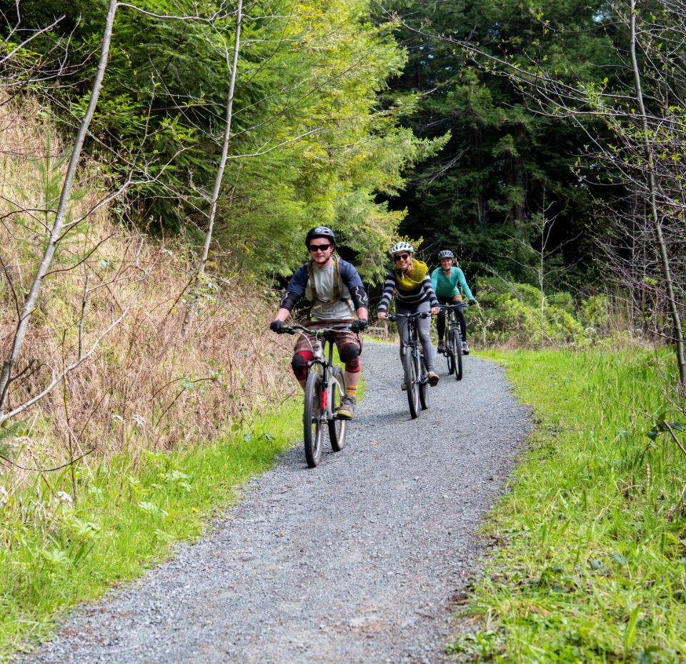 Headwaters Forest Reserve