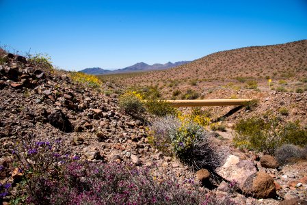 Mojave Trails National Monument in Needles Field Office photo