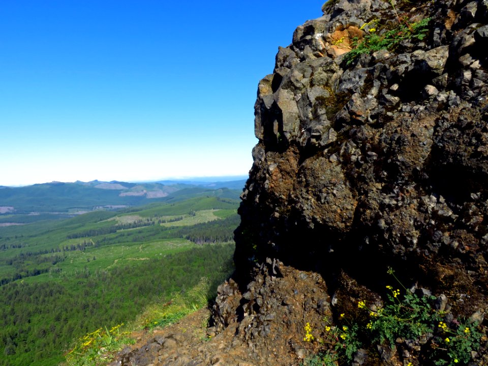 Saddle Mountain Trail in OR