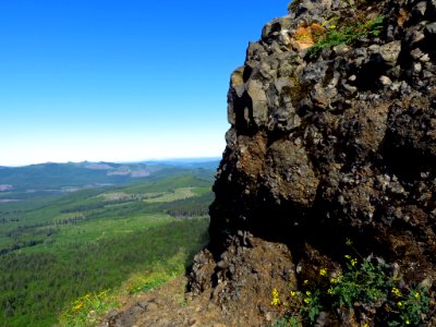 Saddle Mountain Trail in OR
