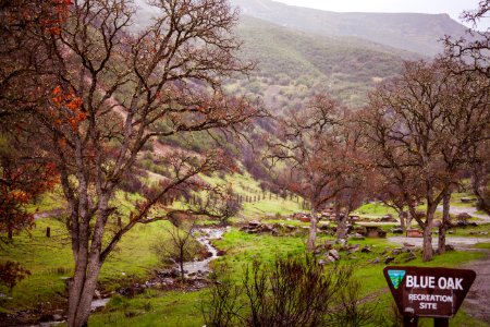 Indian Valley -  Blue Oak Camp Ground