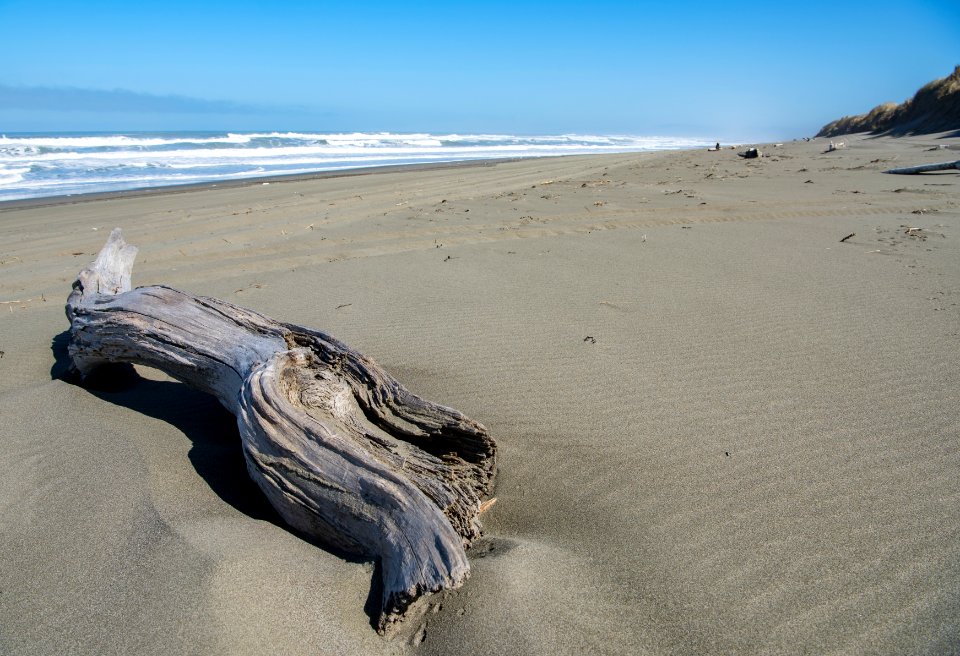 Mike Thompson Wildlife Area, South Spit Humboldt Bay