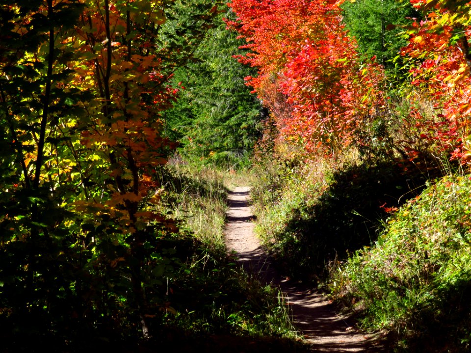 Coldwater Lake Trail in WA