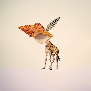 And Your Bird Can Sing #collageconcanciones #contemporarycollage #c expo #revolver #ginexín #yeswecut