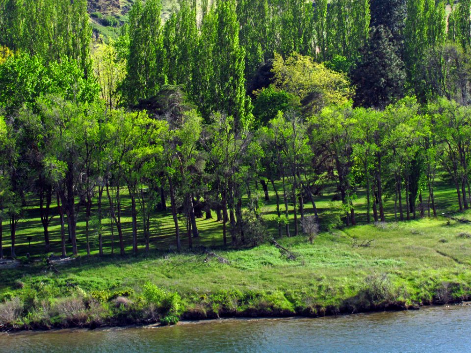 Horsethief Lake in WA