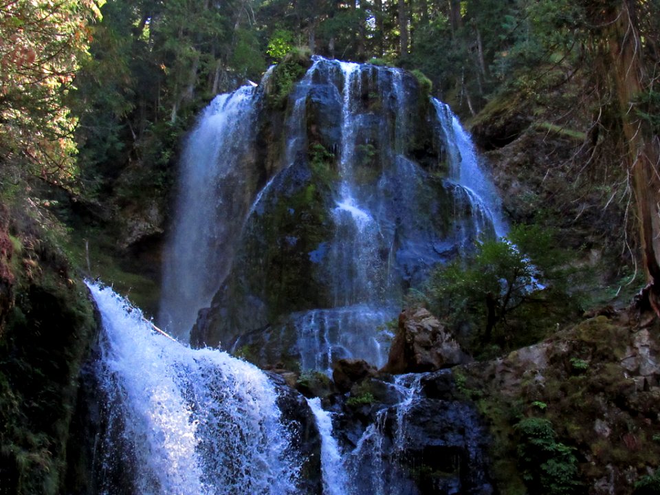 Falls Creek Falls Trail at Gifford Pinchot NF in WA