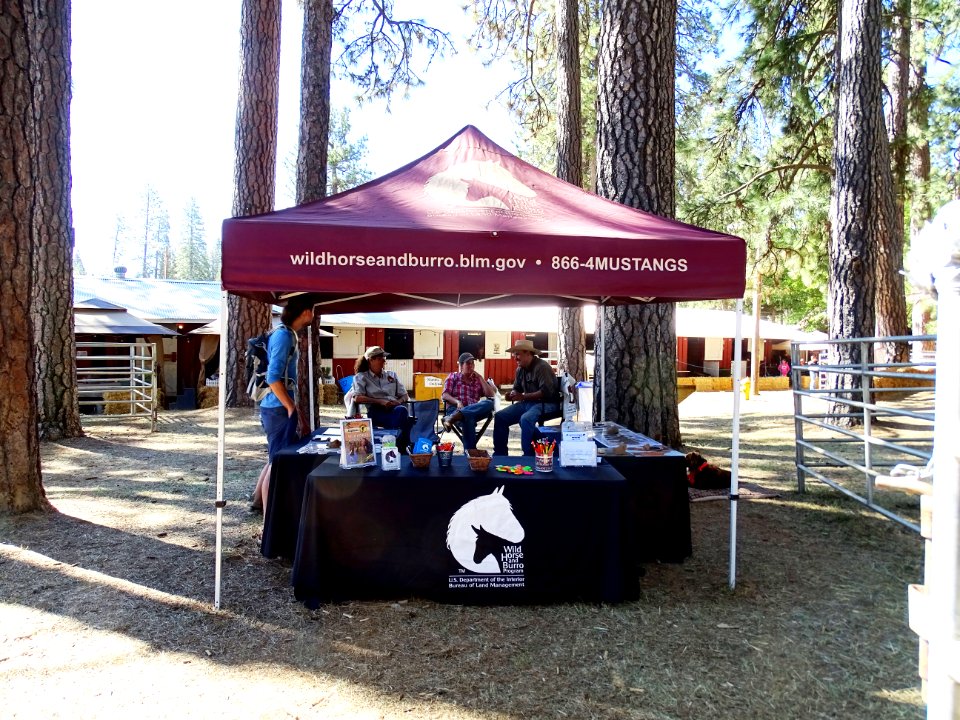 Nevada County Fair