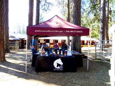 Nevada County Fair