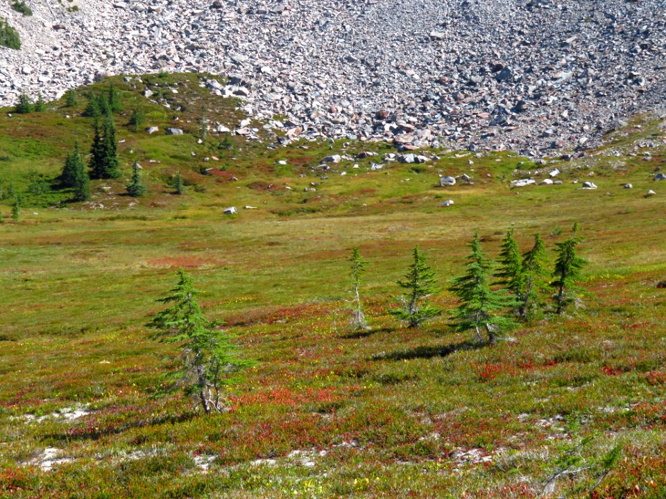 Goat Rocks Wilderness in WA