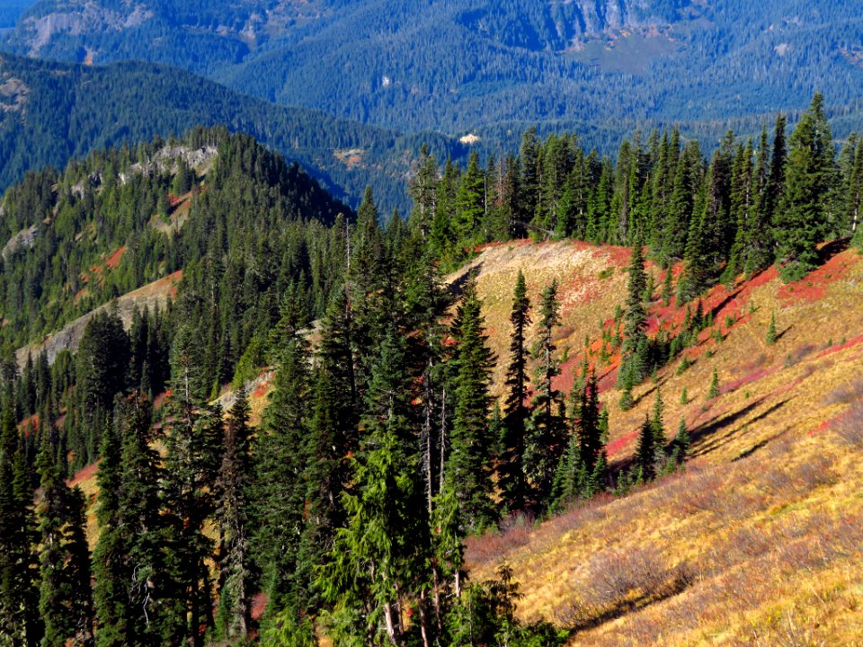Tatoosh Ridge in WA