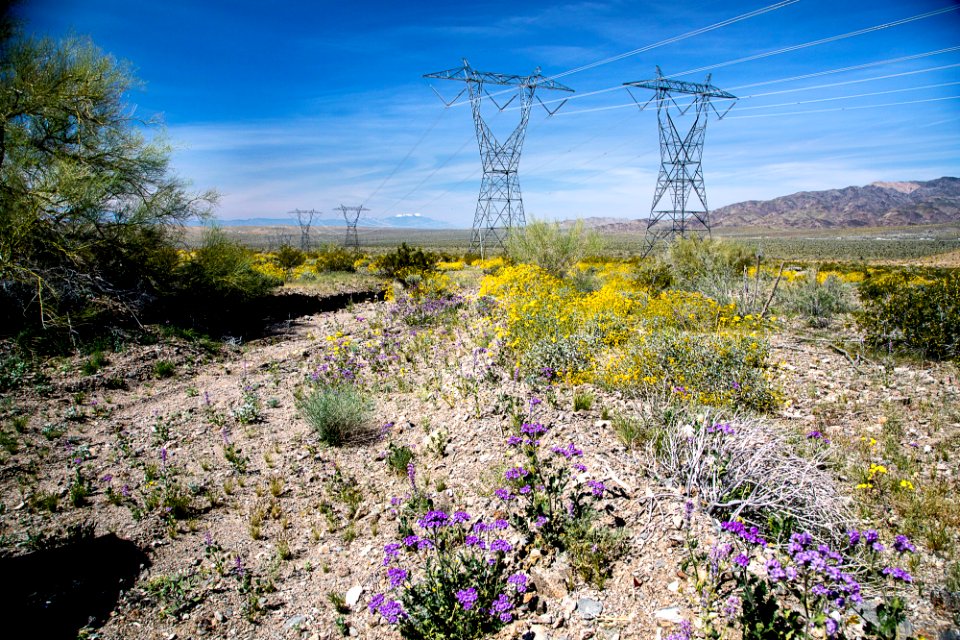 Utilities and Energy in the California Desert