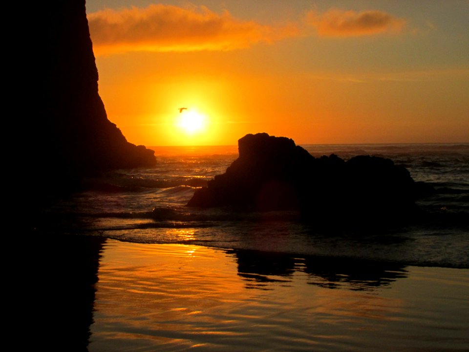 Cannon Beach at Pacific Coast in OR photo