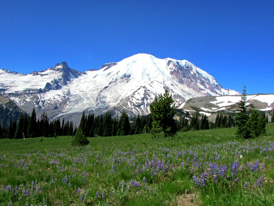 Sunrise Point at Mt. Rainier NP in Washington