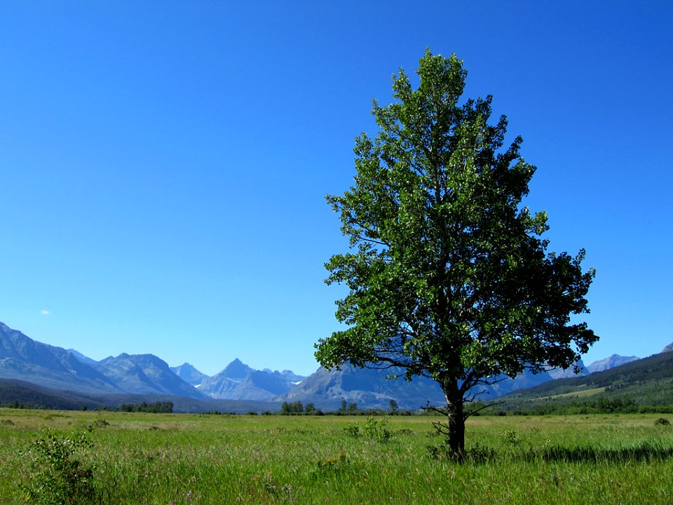 Glacier National Park in MT