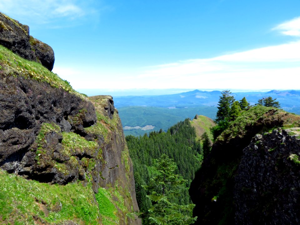 Saddle Mountain Trail in OR