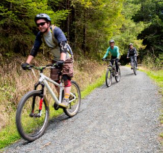 Headwaters Forest Reserve