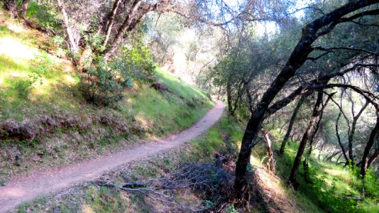 Magnolia Ranch in Spring