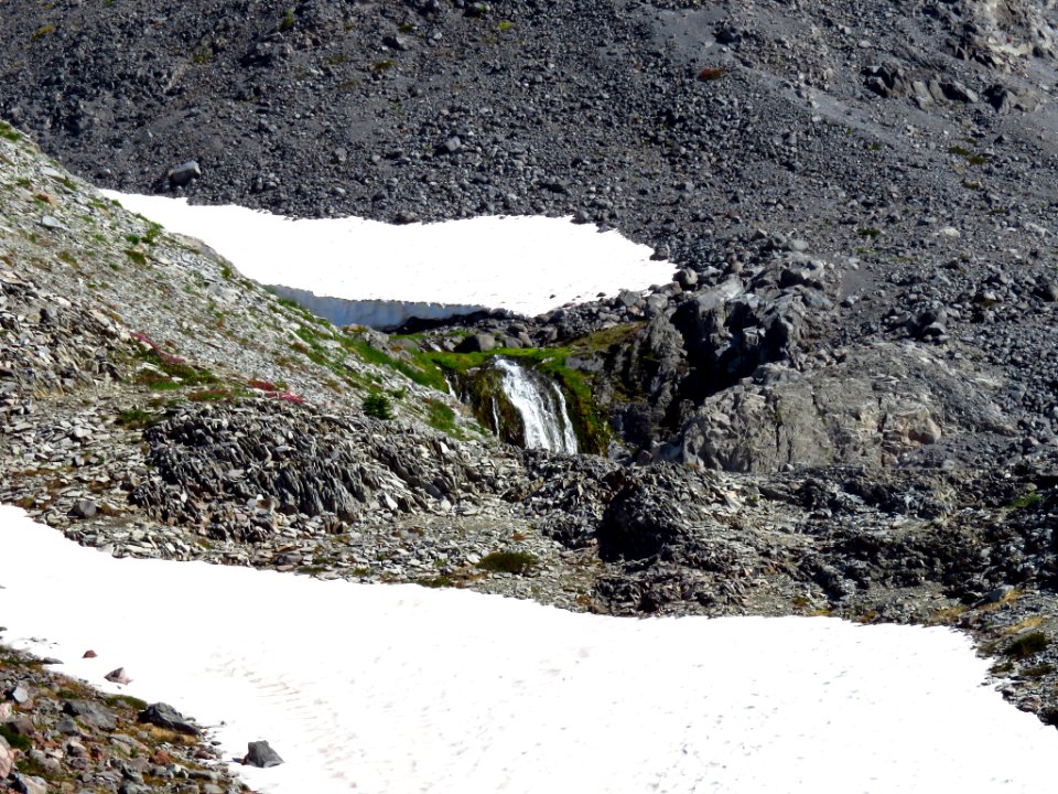 Skyline Trail at Mt. Rainier NP in WA