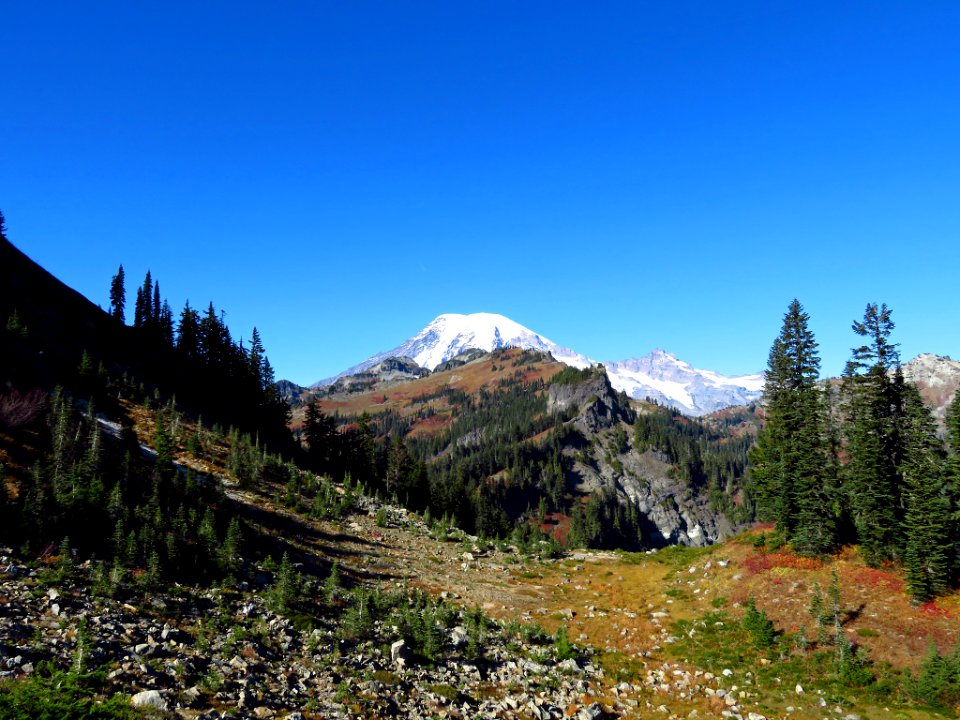 Mt. Rainier at Tatoosh Ridge in WA