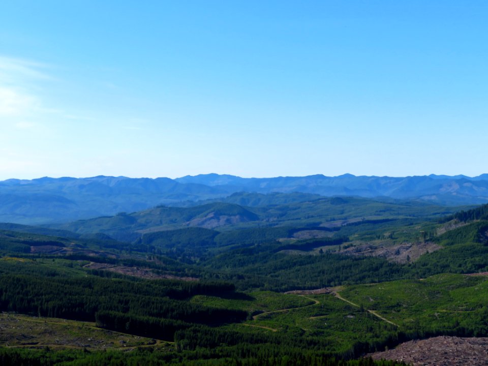 Saddle Mountain Trail in OR
