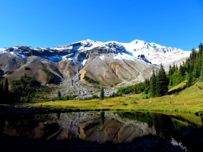 Glacier Basin Trail at Mt. Rainier NP in WA photo