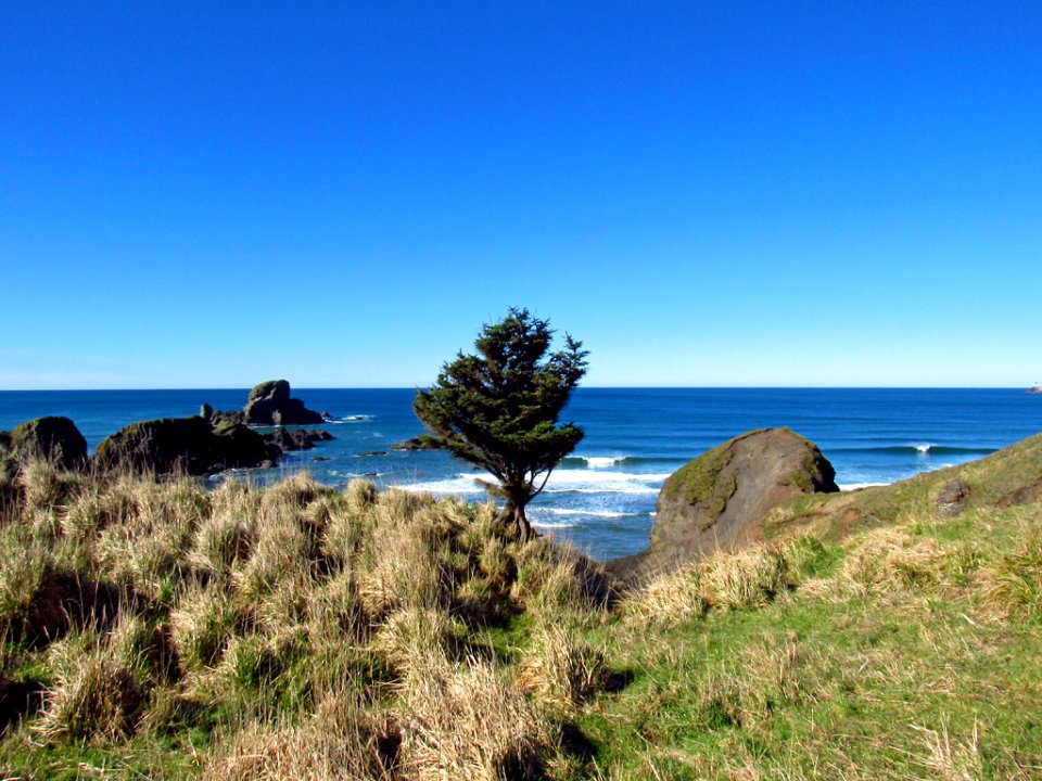 Ecola State Park at Pacific Coast in OR