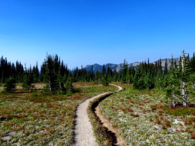 Goat Rocks Wilderness in WA