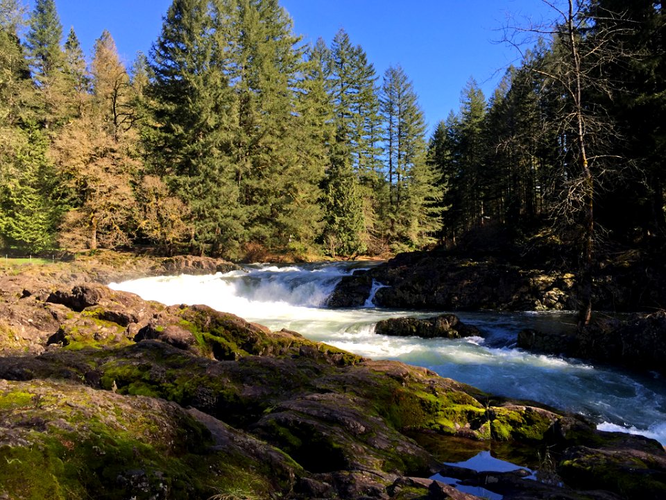 Lucia Falls Park at Lewis River in WA