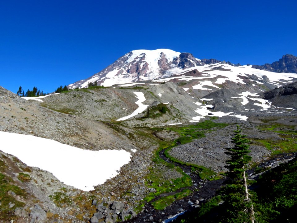 Skyline Trail at Mt. Rainier NP in WA