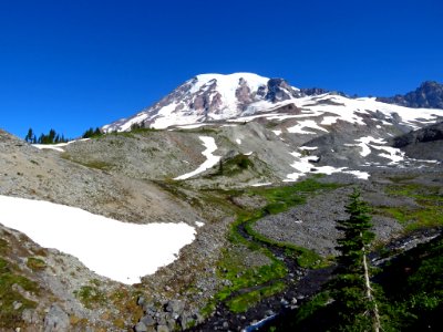Skyline Trail at Mt. Rainier NP in WA