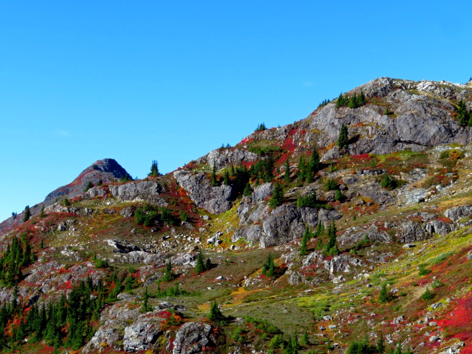 Autumn at Yellow Aster Butte in WA