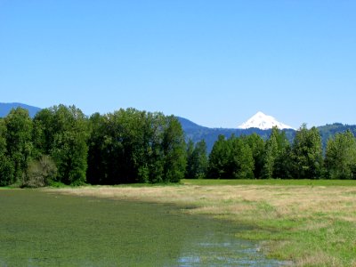 Steigerwald Lake NWR in WA