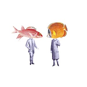 y aún dicen que el pescado es caro... #losdiascontados #fabacollagemag #collage #contemporarycollage #c expo #collagecollectiveco #ginexín #yeswecut #cabañal #resiste #Fish #pascualet #blascoibañez #flordemayo #sorolla photo
