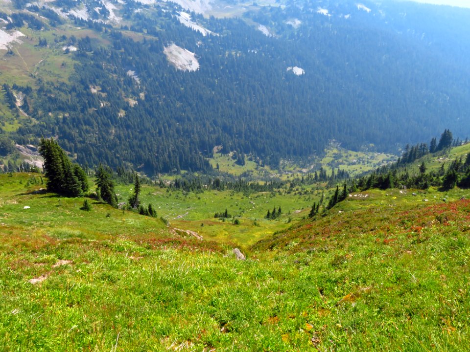 Goat Rocks Wilderness in WA