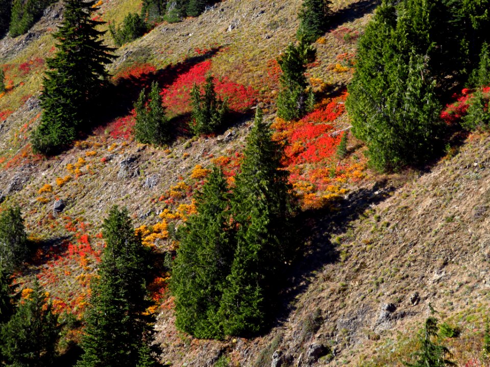 Tatoosh Ridge in WA