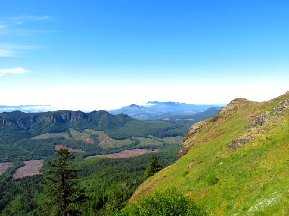 Saddle Mountain Trail in OR