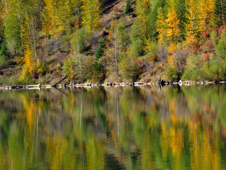 Coldwater Lake Loop Trail in WA