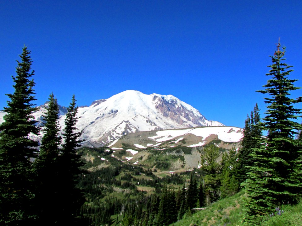 Sunrise Point at Mt. Rainier NP in Washington